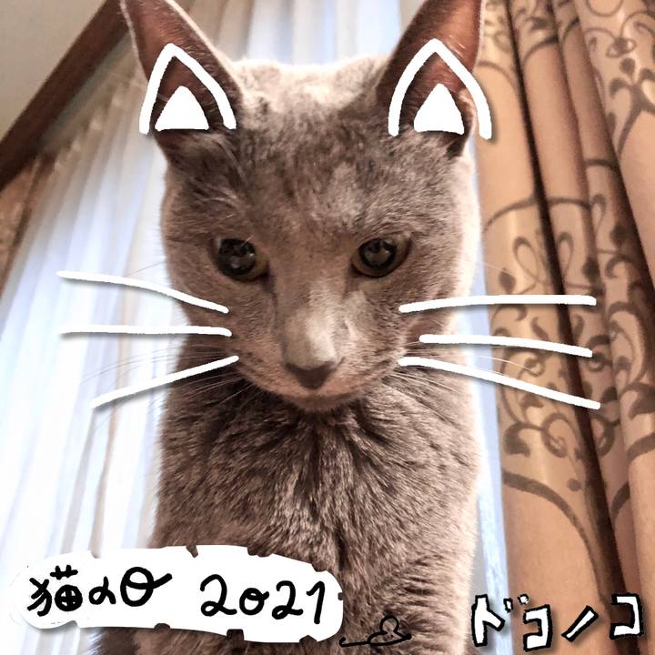 9901ec69 431c 4802 8c95 0dabd86022c7 1613961235034