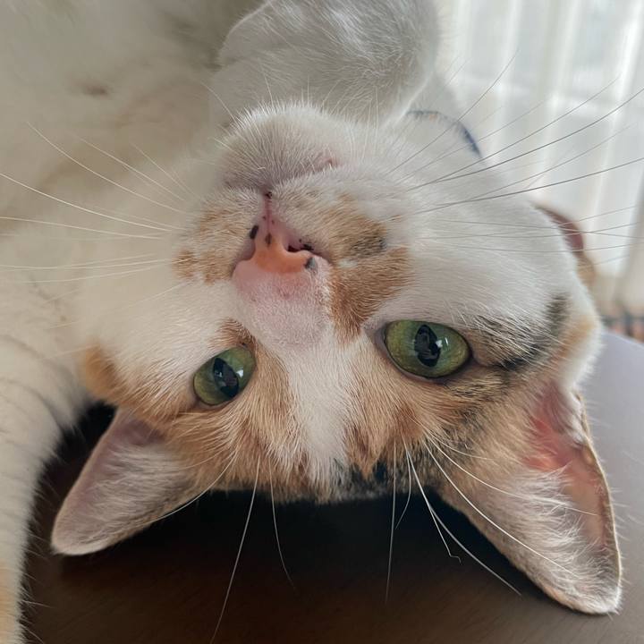 9902041b 2e0c 4ef3 8c52 507c9fc9fd85 1689425951054