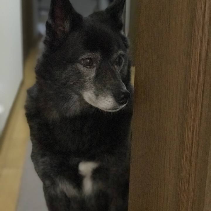 99024e52 8387 4e90 a8de 585a39dd186f 1550239022106