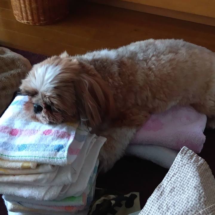 9902c2b9 c836 404a aee6 fc12a7bded7f 1622447266094