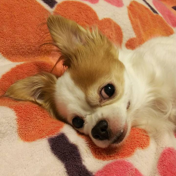 9902e583 5ac0 41d1 9a19 ac0e3e08460c 1516891956172