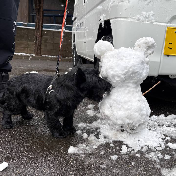 99031216 d319 46f2 bccc 78befae6717e 1773413608773