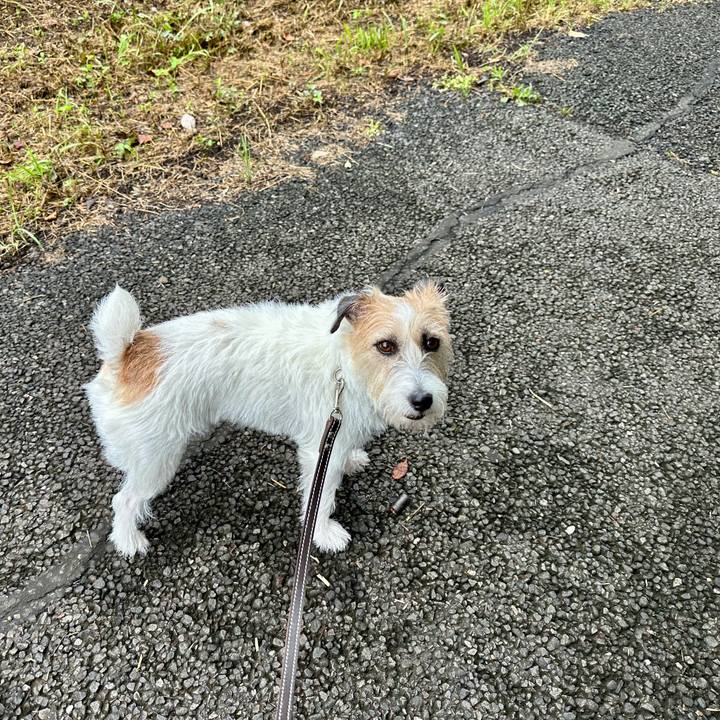 99033226 a750 4d39 9d82 aa3a3f96ff34 1751550512116