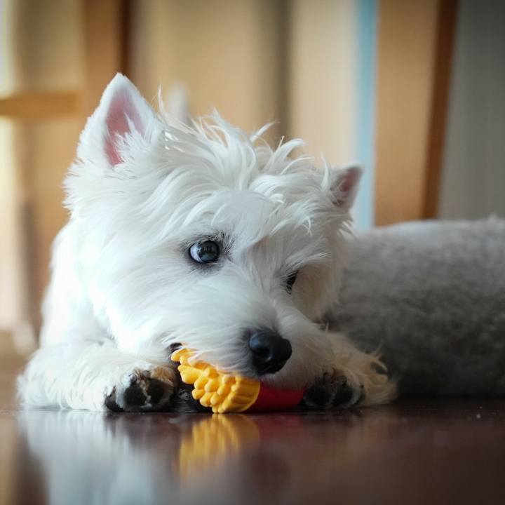 9903df29 b490 4559 bfd5 9c51877cbcda 1535413479696