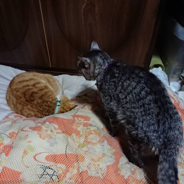 9903e443 8a46 4c24 8620 05d13a27ba7f 1580990847797