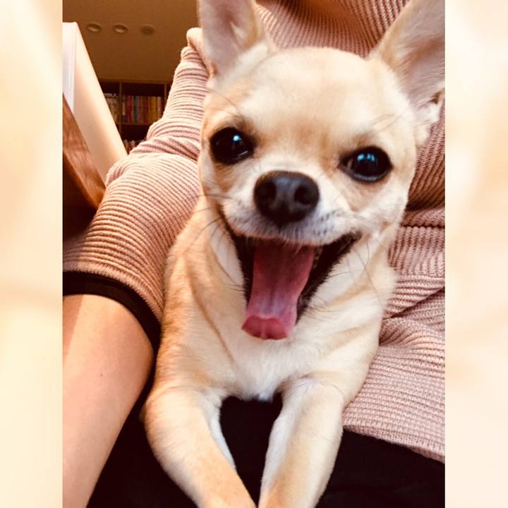 9904411f dd37 44c7 b022 24d60afaaf1c 1556580425409