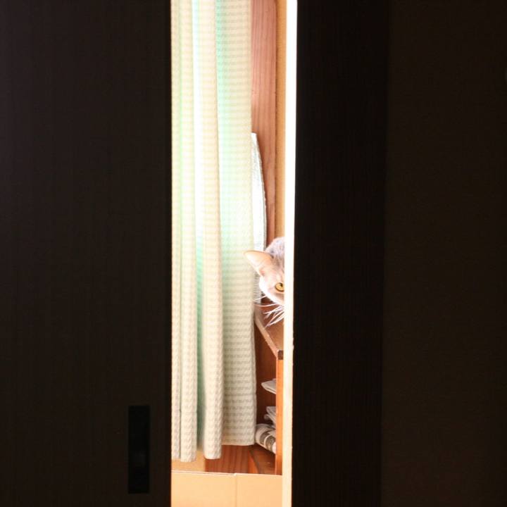 99044df2 9a05 48eb 9bcc 57974130c113 1525044278327