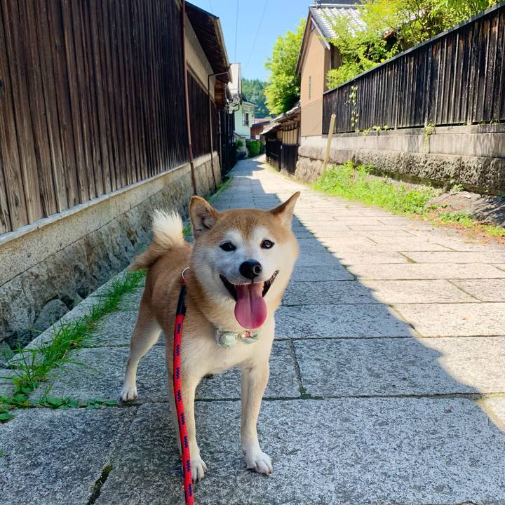 9904713f 84e1 41a8 86bf 033067b6708a 1654159583480