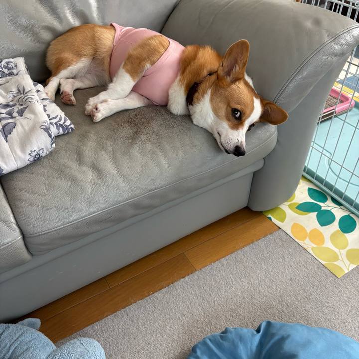 9904940b cc29 4e60 b9be 931dd7df996f 1757131483645