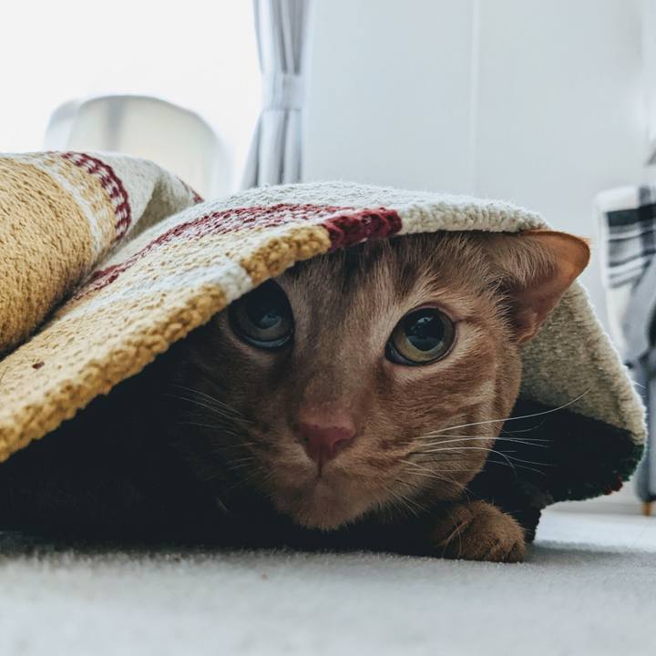 9904943f 5af1 44f8 b3b0 037dd54862ee 1646789368482