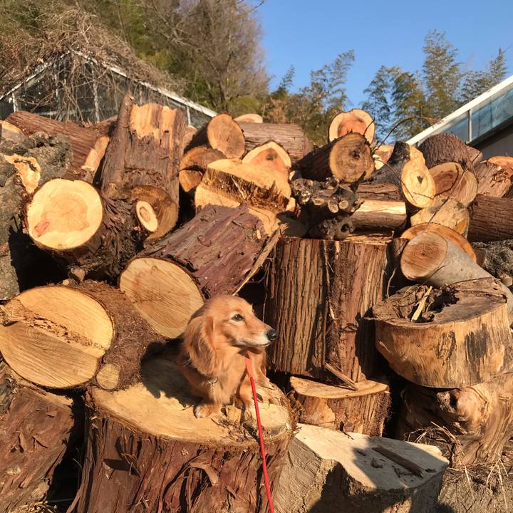 9904ac1e f06c 4247 95fe 6365289195c0 1581143846392