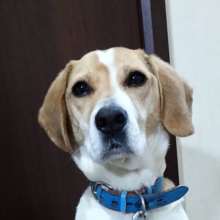 9904b8fe c4a4 44d4 8259 bc20729d1065 1616058615222