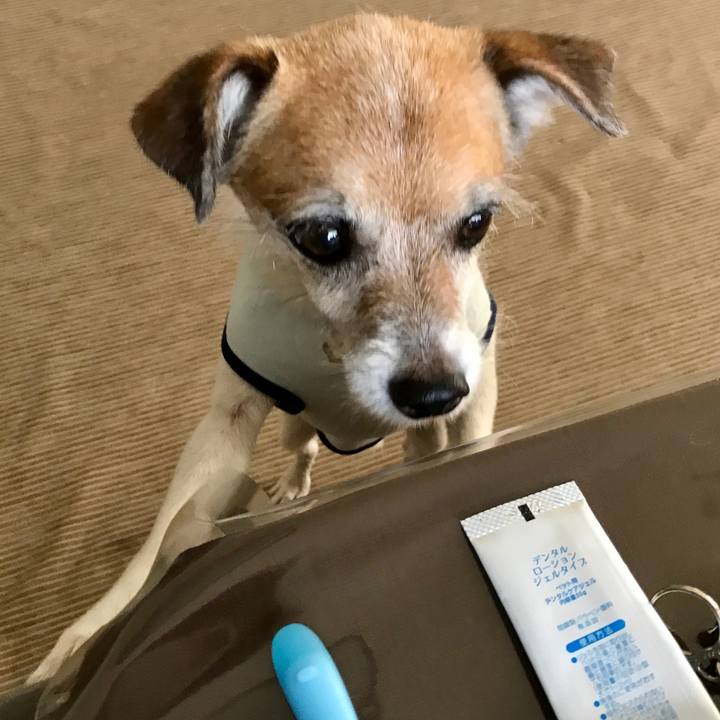 9904d56d ba42 465f a74d 79e6277d94dc 1597882204730