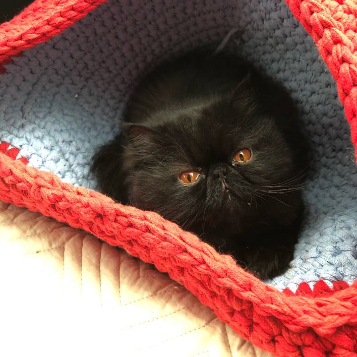 9904ef36 c17d 4757 b029 eef6ba9f6344 1600685152382