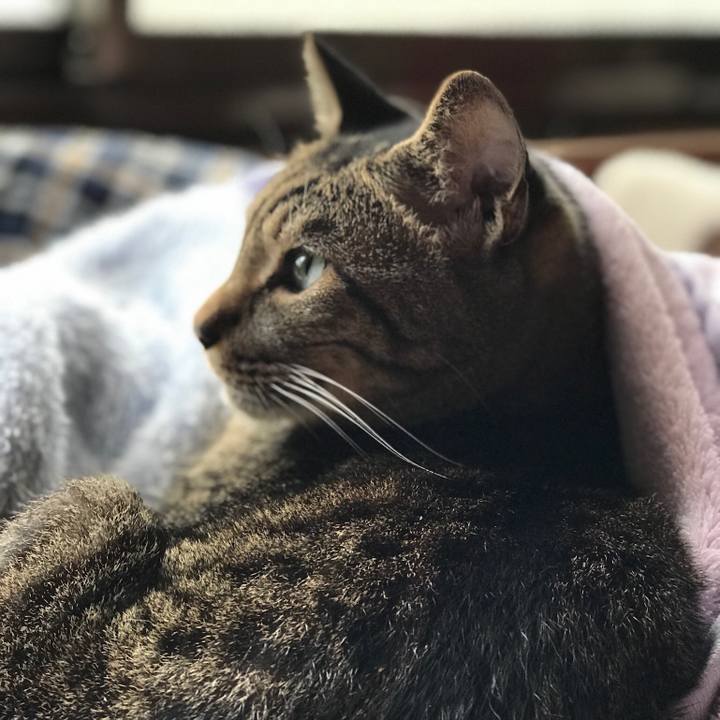 9905126a 35fc 42a6 b391 ab873c01aae8 1509328555573