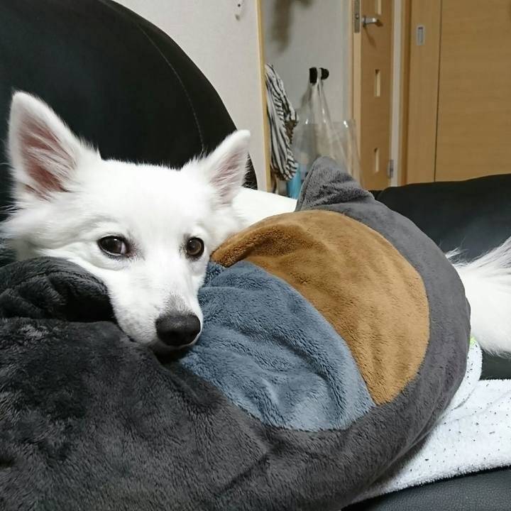 99053da1 ceb8 4b70 a5f8 fd2530a20c01 1508210553365