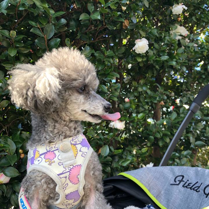 99058e5f 08a2 4425 845d d0d991d140be 1577093318939