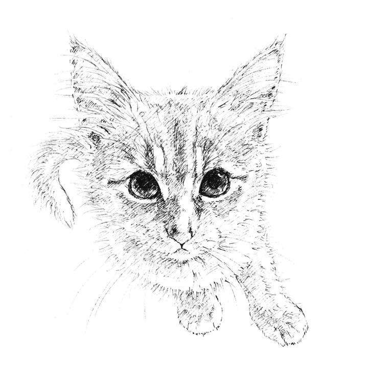 9905ce41 c768 4b7e 8c6a cdc96660558b 1607243430612