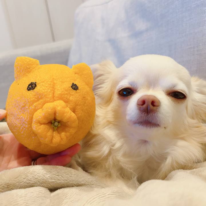 990627d3 b92e 42fe 9bbd 0d396788b37c 1707086625365