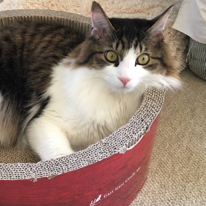 9906339f 2d11 406a 83b4 d5e128fec8d0 1526730696463