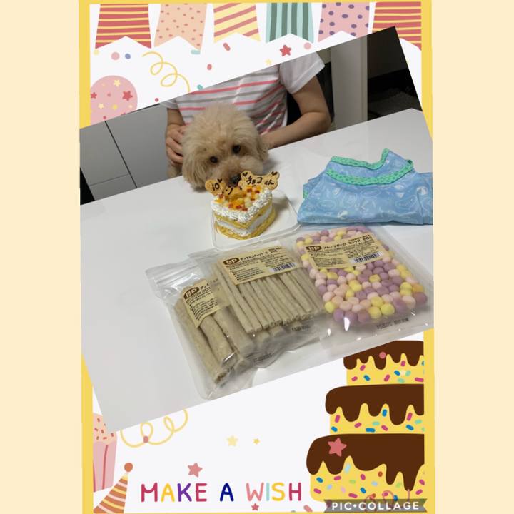 990644cd 2b59 4a5e bd6a 9ecb96bc4e14 1563966871461