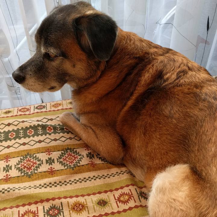 99069836 38f8 474f b737 afb75673e23b 1513482334978