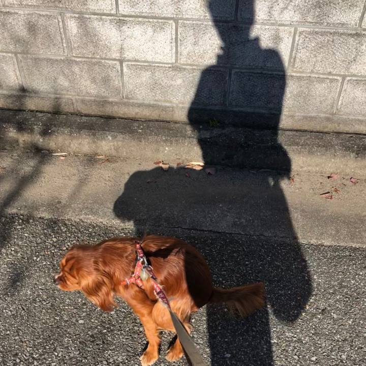 9906a74c 5b0c 4ce0 88a4 2c5c80bebd70 1573270872920