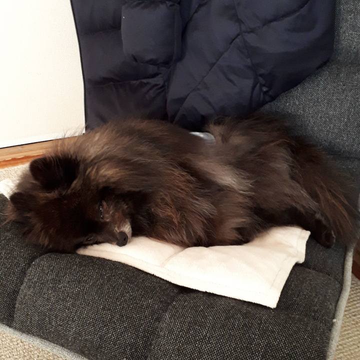 9906c920 f3bc 4559 9f21 17f40b1294f3 1517982888293