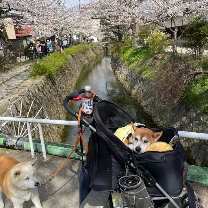 9906eede da7d 4cf8 b3bd 637390f46cc5 1616829330415