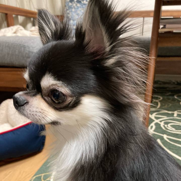 990770b2 6252 4f43 8eae 4ac36b598058 1635601009412