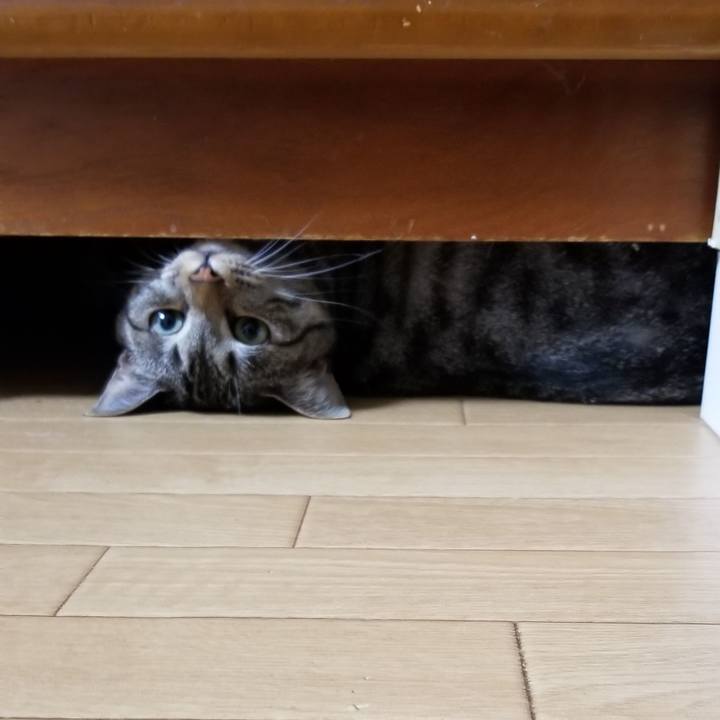 990778c5 a73c 432f a6d0 32d59c54426f 1689512182682