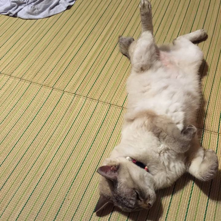 9907b629 d9bb 4c26 81a4 ab3880920f62 1532344859998