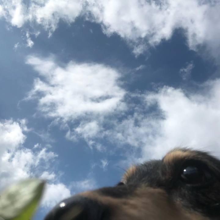 9907cbc0 7e47 496b aaf2 7f2004461002 1568683101636