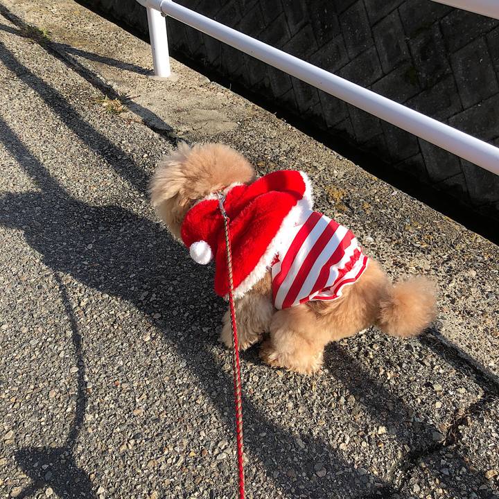 99082015 057e 49d0 a58b a77c78d11d3d 1545729402908