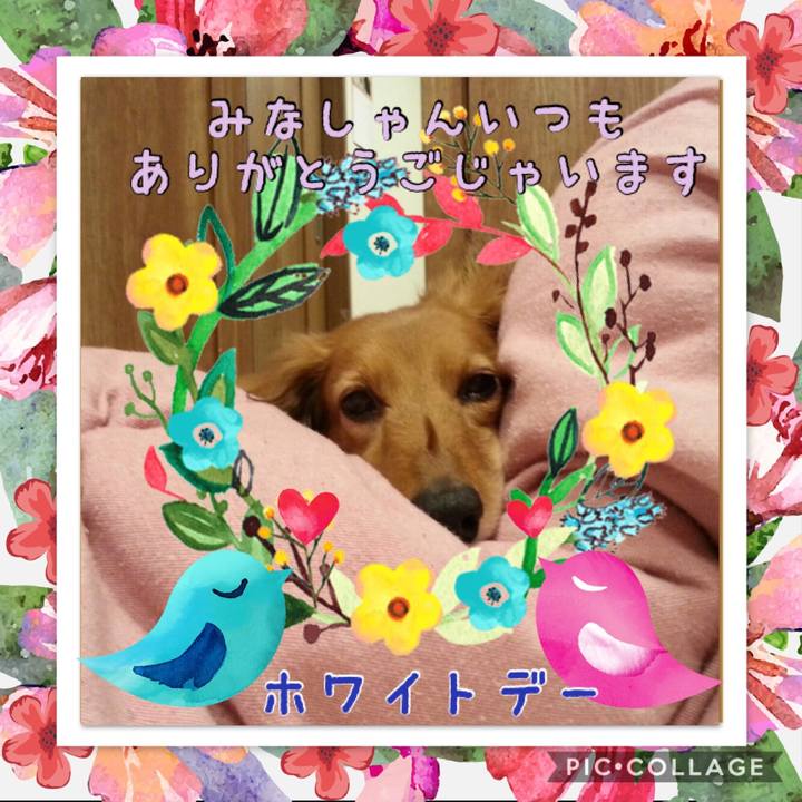 99085ab1 89db 4649 8b51 b419dea5b0d4 1521005152436