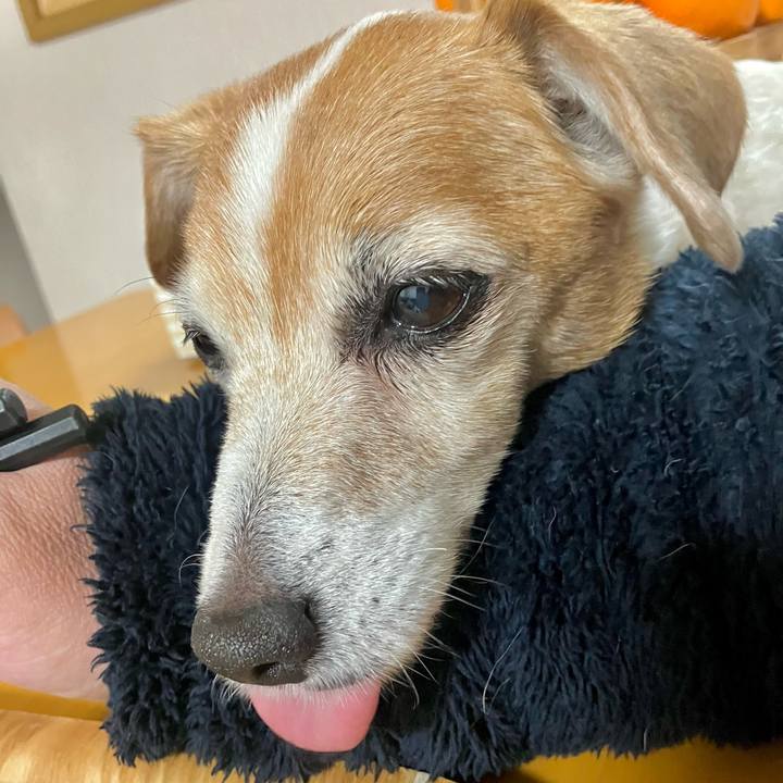 9908a0fc 50b5 4ba8 a593 f16626e35105 1703853514594