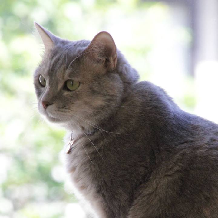 9908c8d5 b0e9 4fbb b51d d42745fe945b 1592278183372