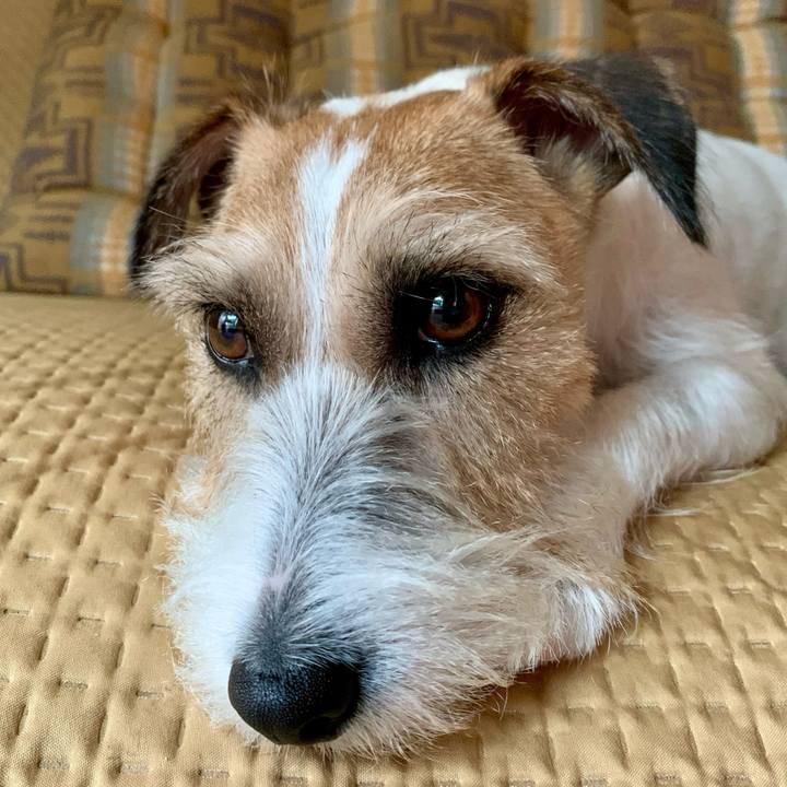 990904d6 101e 43a4 8b74 5c98100bf898 1659659090348