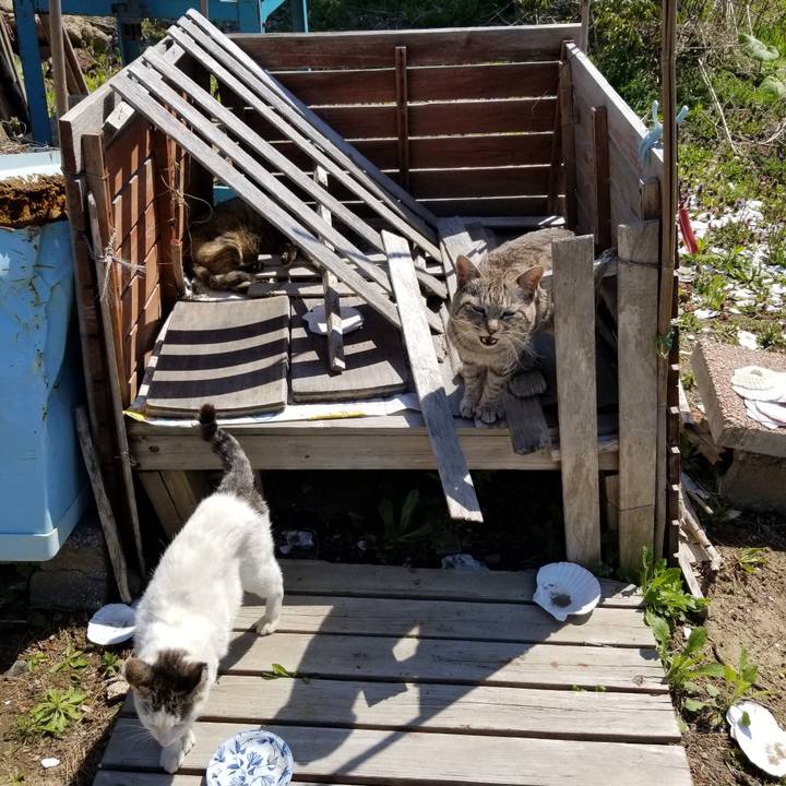 99090a56 2c86 432c 8999 469507ff1395 1684022000270