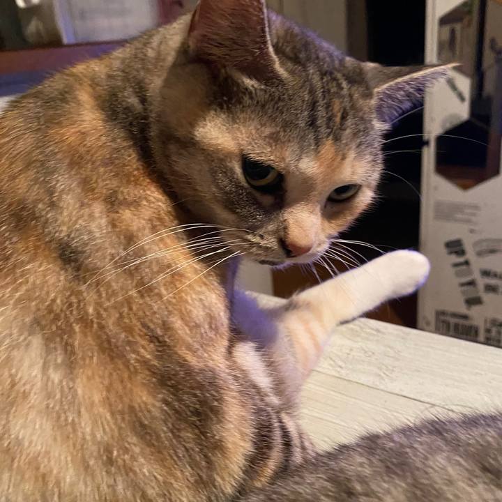 99091e79 b8a2 4835 a848 3861ecf5c891 1590461153801