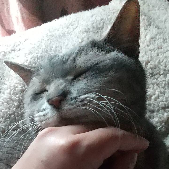 99095ab0 8cd1 4333 ab05 4cefa5ef9275 1684798695934