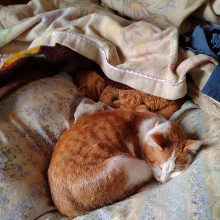 990974bf 8e70 4cfb 8caa 25d6d6a7e5ba 1738396907855