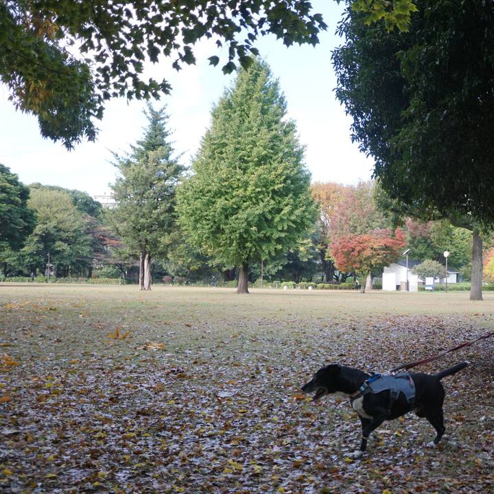 99098c0a 9d9b 4323 8fb2 2680546f9c40 1762737777072