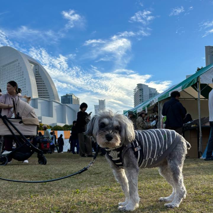 9909a234 38e2 45f2 8724 1bb98b1bf2c8 1762002693601