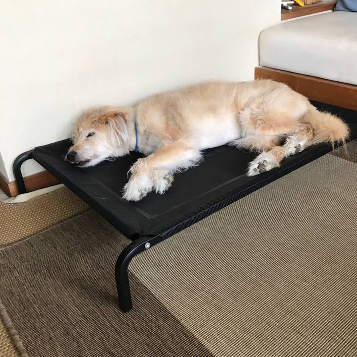 9909ae5c ce63 4037 98df 9c5ec959ac8a 1593050409103