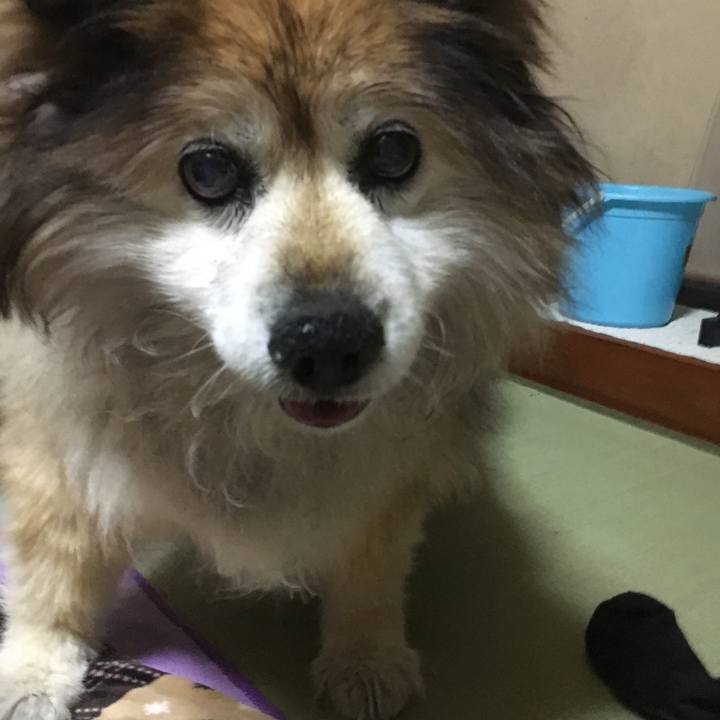 9909c5ea a2df 4fc7 addb f65432a12e2d 1593796623081