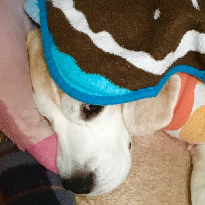 9909c6ef bc5b 4994 8706 5ed0c95a1324 1577074650072