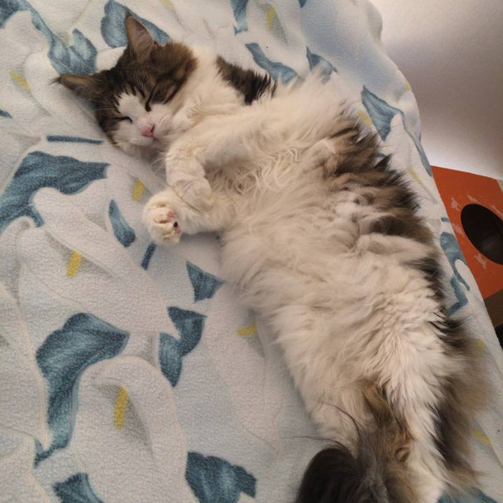 9909cfeb 6887 40e1 ac5c 271e4e3559b8 1601452826043