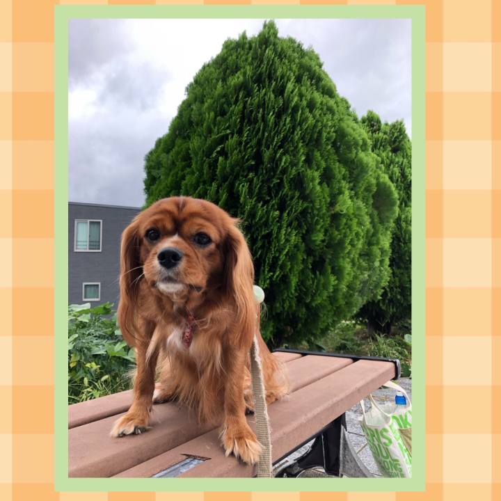 990a1d2e 9e92 48f3 977e 82276e27310c 1571011323077