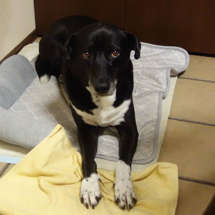 990a30aa b737 4bc1 8dab 0c381057c2df 1695554339625